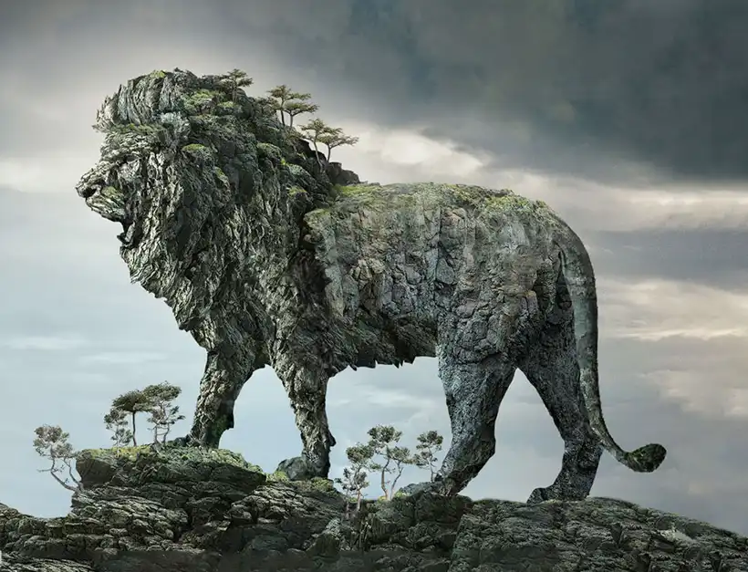 Specjalizacja i doświadczenie