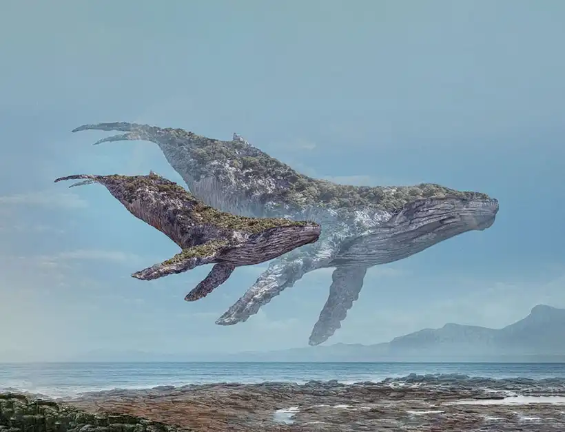 We share our knowledge